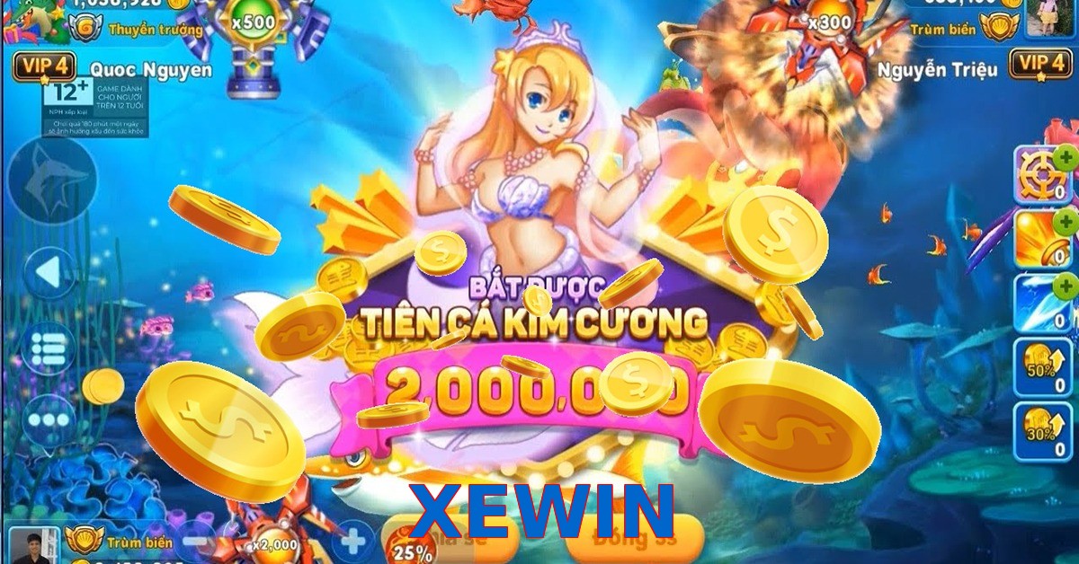 XEWIN